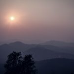 Save The Wild : แยกหมอกออกจากควัน