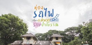 ท่องรถไฟ เที่ยวแม่พวก รักษ์ป่าสักร้อยปี