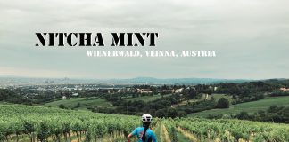 Ride : บทเพลงแห่งขุนเขา เสียงดนตรีแห่งการฝ่าฟัน เวียนนา ออสเตรีย ตอนที่ 1 : Wienerwald