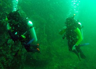 ยิ่งให้ยิ่งได้ ปักสมุทร การดำน้ำเพื่อการอนุรักษ์ เปิดแรงบันดาลใจให้คนรักษ์ทะเล ร่วม Save Sea