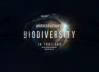 แบ้งค์ เขาใหญ่ ชวนติดตาม ภาพยนตร์สารคดี Biodiversity in Thailand “มหัศจรรย์ธรรมชาติ ” ทาง Thai PBS เริ่ม 27 เม.ย. นี้