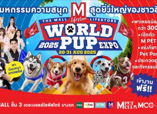 งาน “THE MALL LIFESTORE WORLD PUP EXPO 2025” งานสมาคมผู้ปกครองชาว 4 ขาแห่งปี!