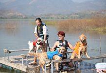 ททท. รุกตลาดเที่ยวกับสัตว์เลี้ยง เปิดตัวโครงการ “Fur Season Escape” หนีเที่ยวทุกฤดูกับคุณหนูสี่ขา