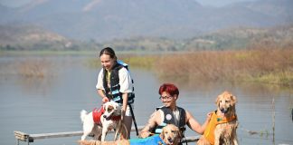 ททท. รุกตลาดเที่ยวกับสัตว์เลี้ยง เปิดตัวโครงการ “Fur Season Escape” หนีเที่ยวทุกฤดูกับคุณหนูสี่ขา