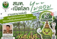 เปิดโลกไม้ล้อม 26 พฤษภาคมนี้